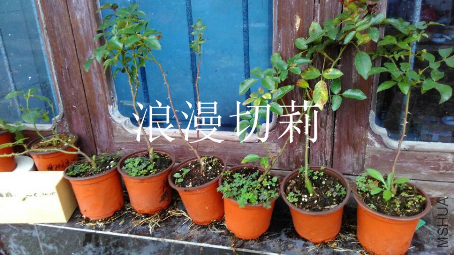QQͼƬ20151125163409.jpg