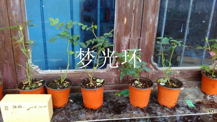 QQͼƬ20151125163421.jpg
