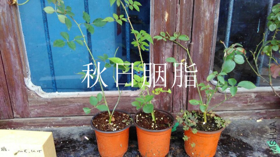QQͼƬ20151125163428.jpg