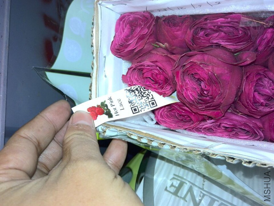 QQͼƬ20151125220820.jpg