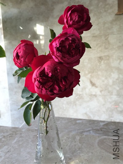 111713v1410irz09z1azw0.jpg