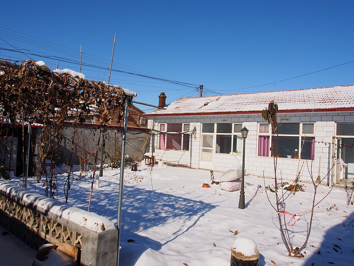 PB260376.JPG