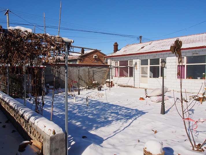 PB260377.JPG