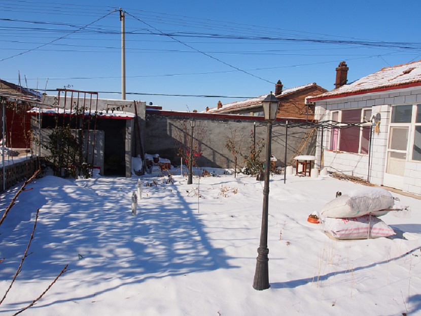 PB260379.JPG