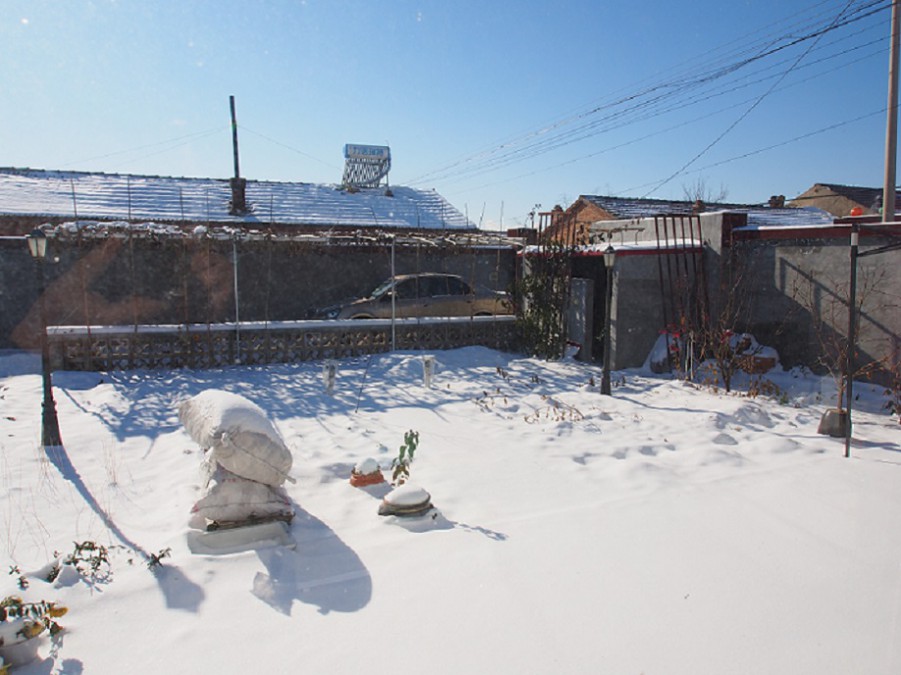 PB260381.JPG
