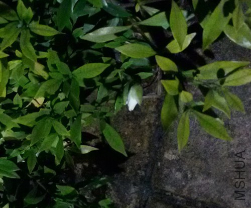 20151113_192607_����.jpg