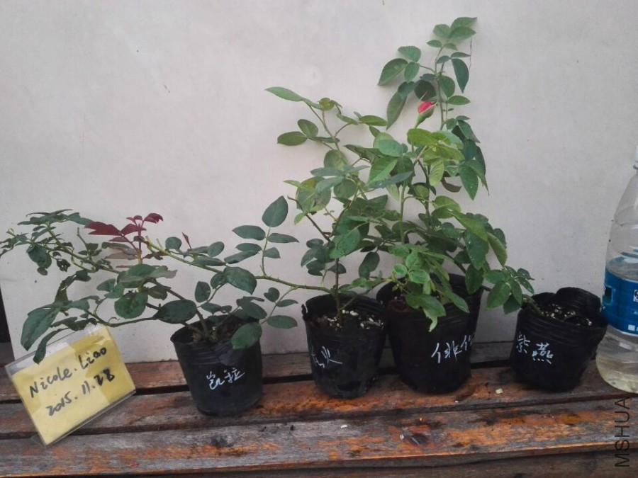 QQͼƬ20151128094930.jpg
