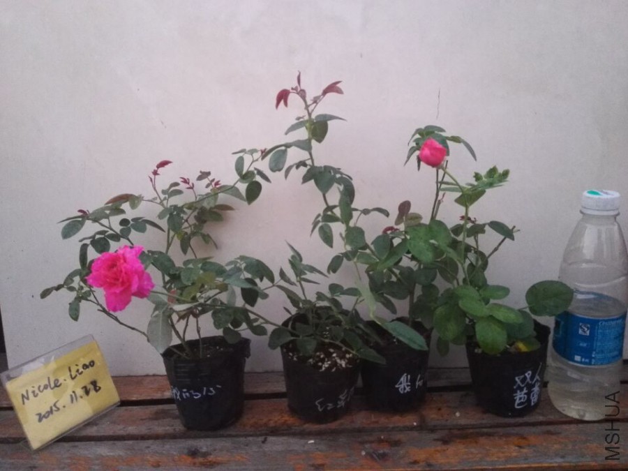 QQͼƬ20151128095027.jpg