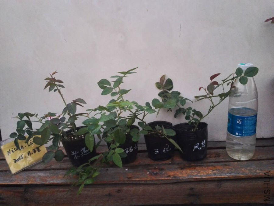 QQͼƬ20151128095032.jpg