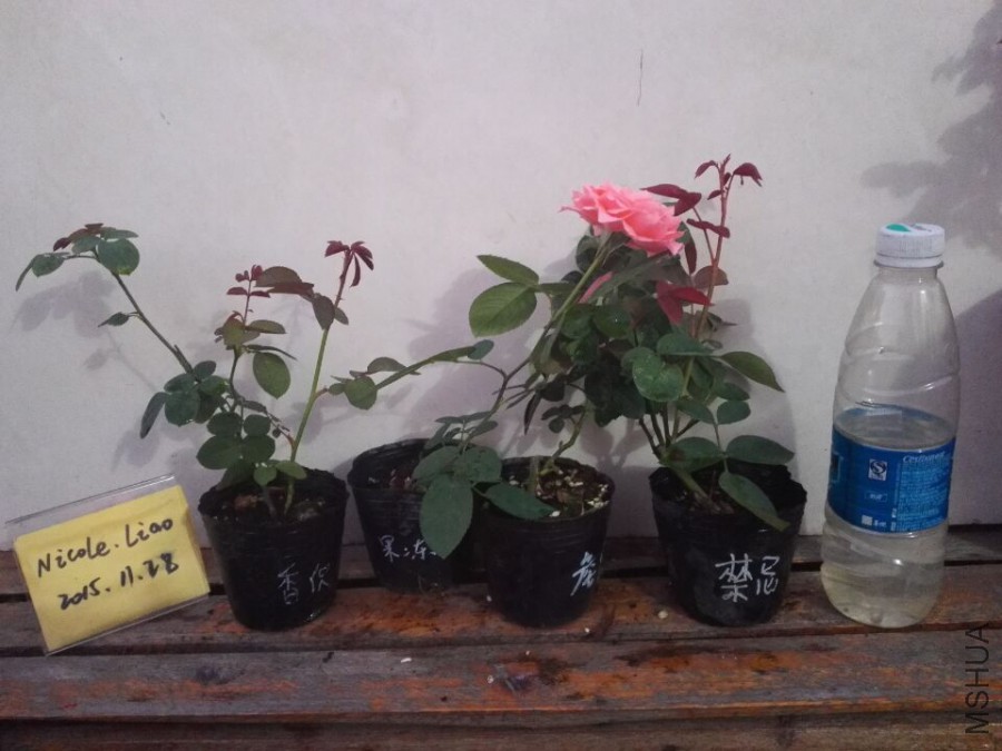 QQͼƬ20151128095036.jpg