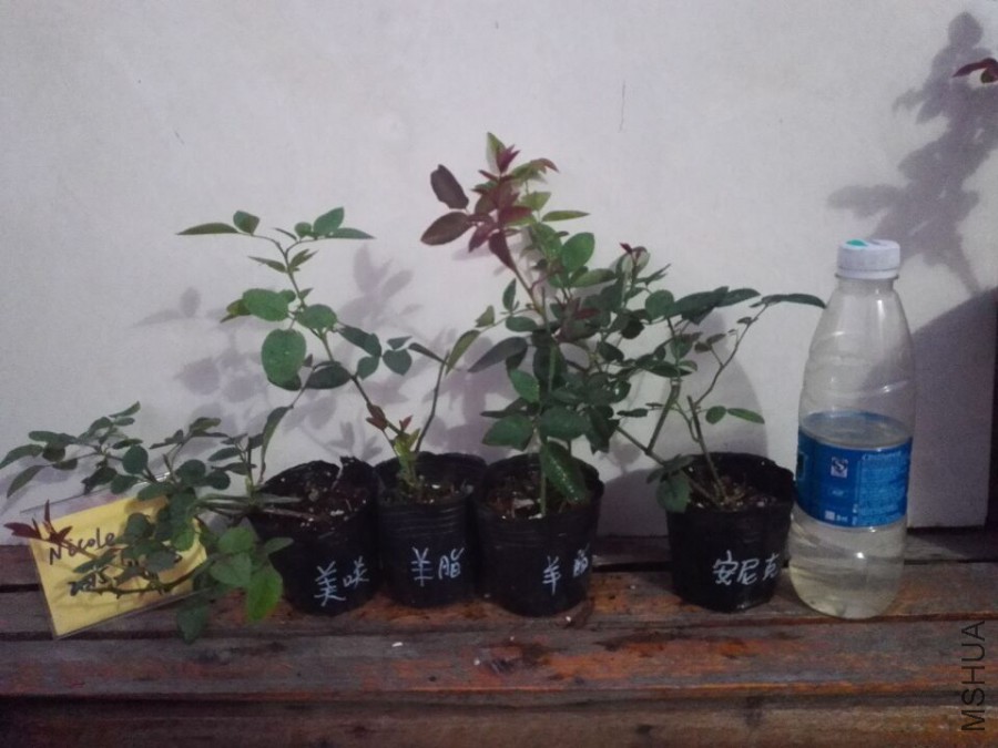 QQͼƬ20151128095042.jpg