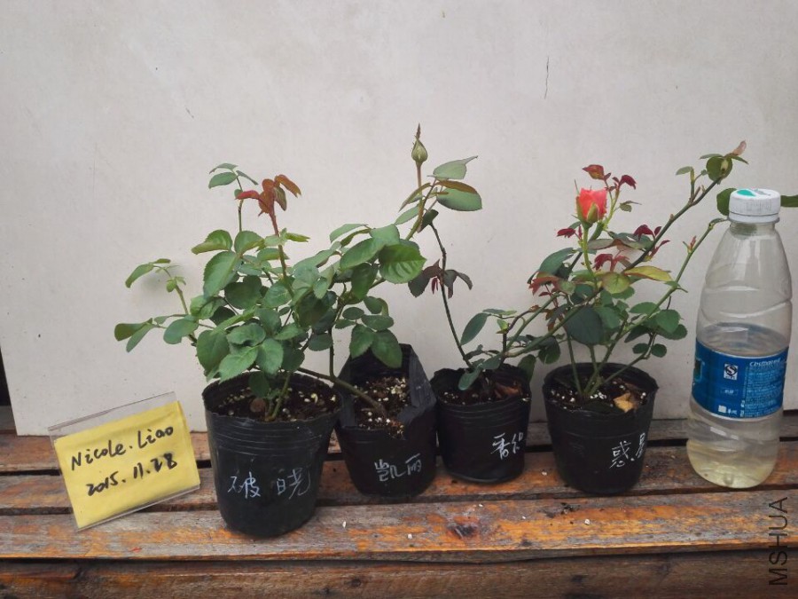 QQͼƬ20151128095048.jpg