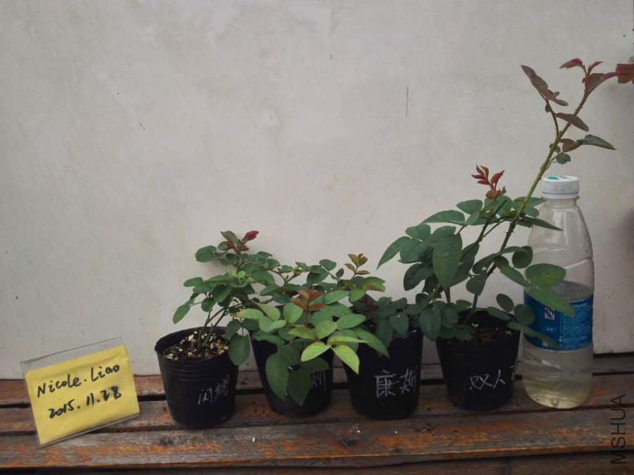 QQͼƬ20151128095108.jpg