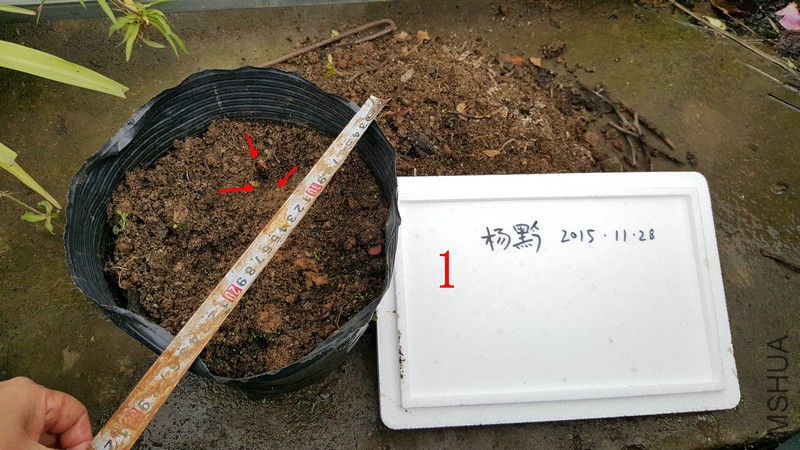 20151128_145348.jpg