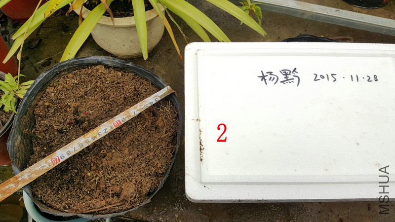 20151128_145416.jpg
