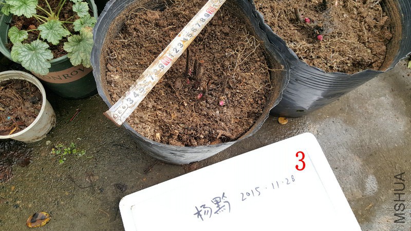 20151128_145453.jpg