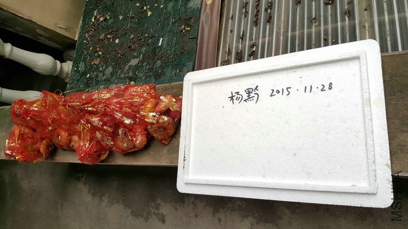 20151128_153548.jpg