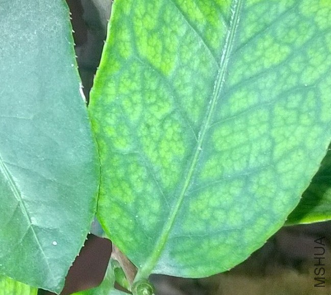 WP_20151121_001.jpg