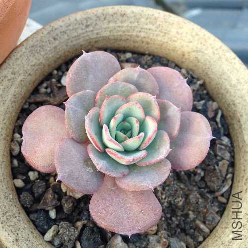 ���ͻ���