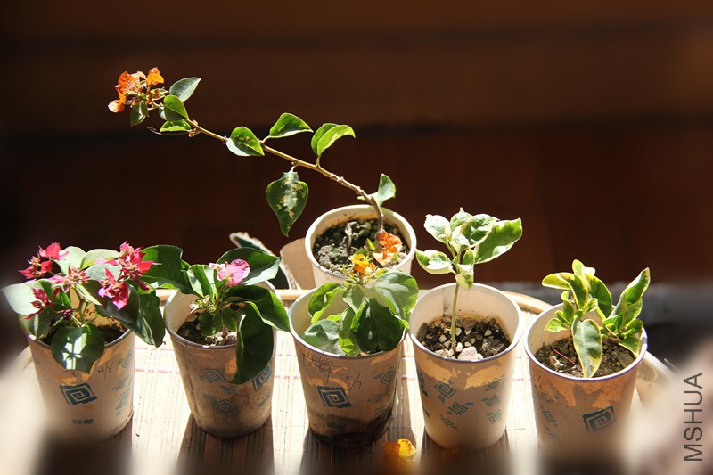 һ��6��ȫ��