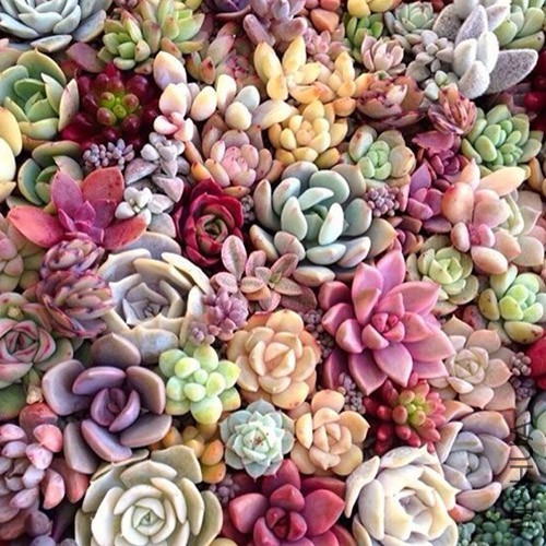 20140925221254_BkfTA.jpg