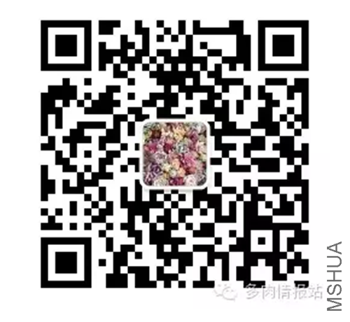 QQͼƬ20151130133615_����.png