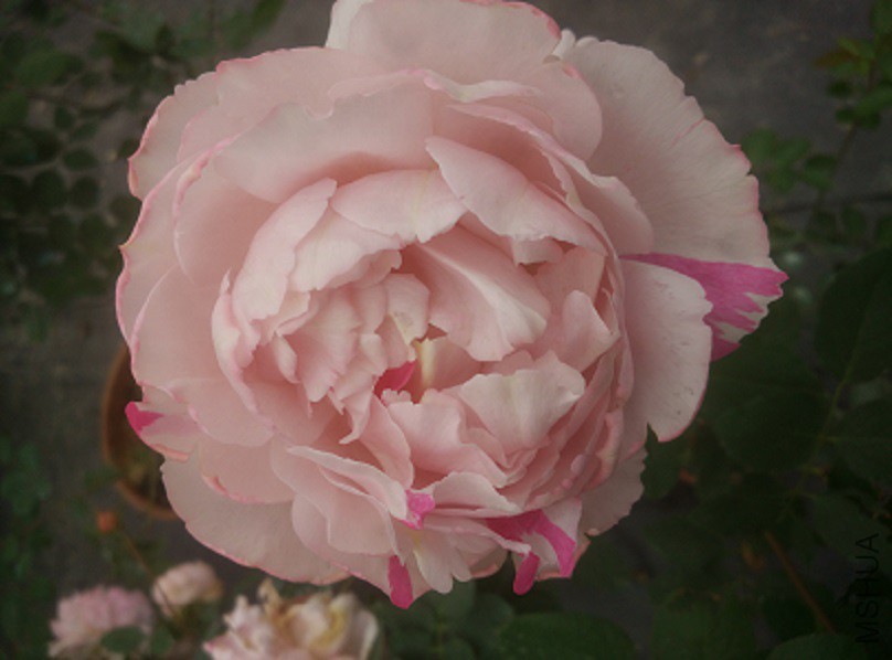 IMG20151128115950.jpg