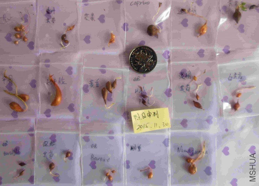DSCN5019.JPG