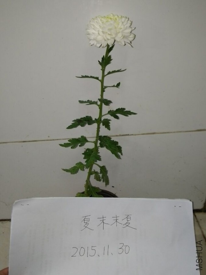 �ջ� ���