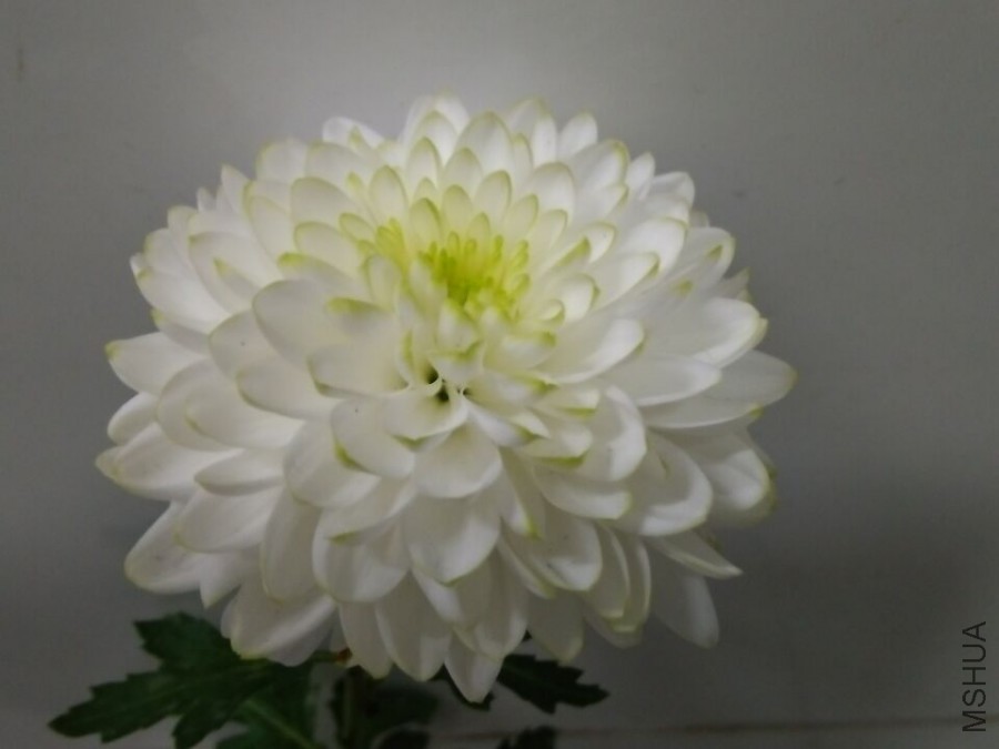 �ջ� ���