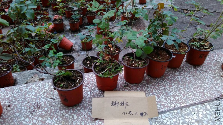QQͼƬ20151130214905.jpg