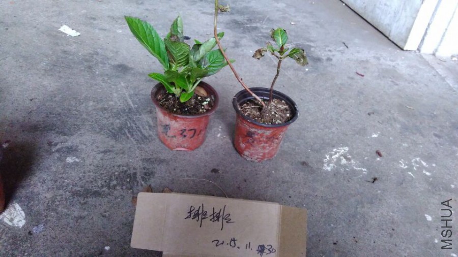 QQͼƬ20151130214920.jpg