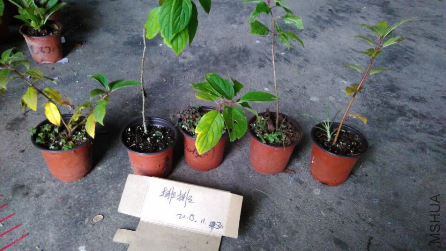 QQͼƬ20151130214930.jpg