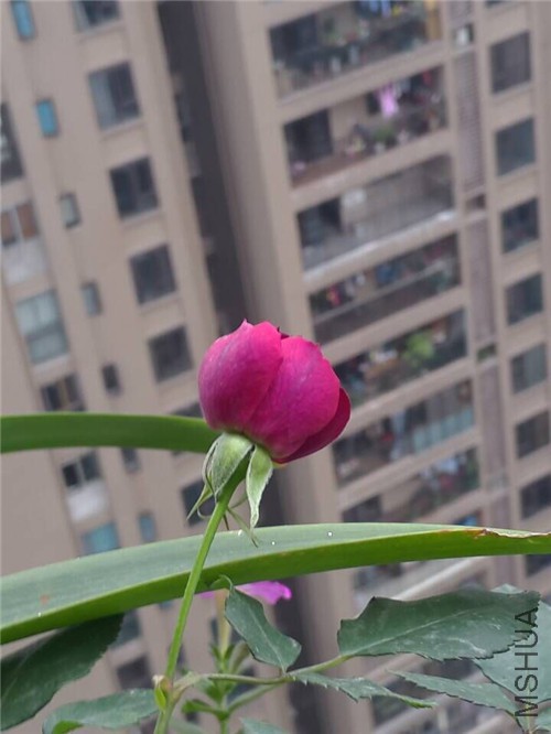 QQͼƬ20151202194224.jpg