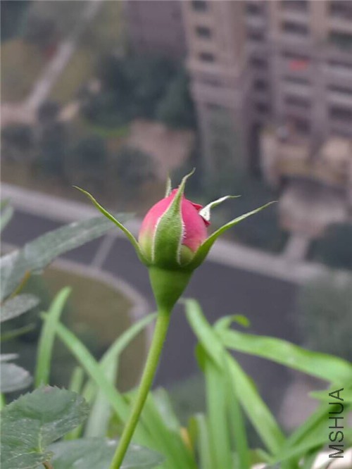 QQͼƬ20151202194230.jpg