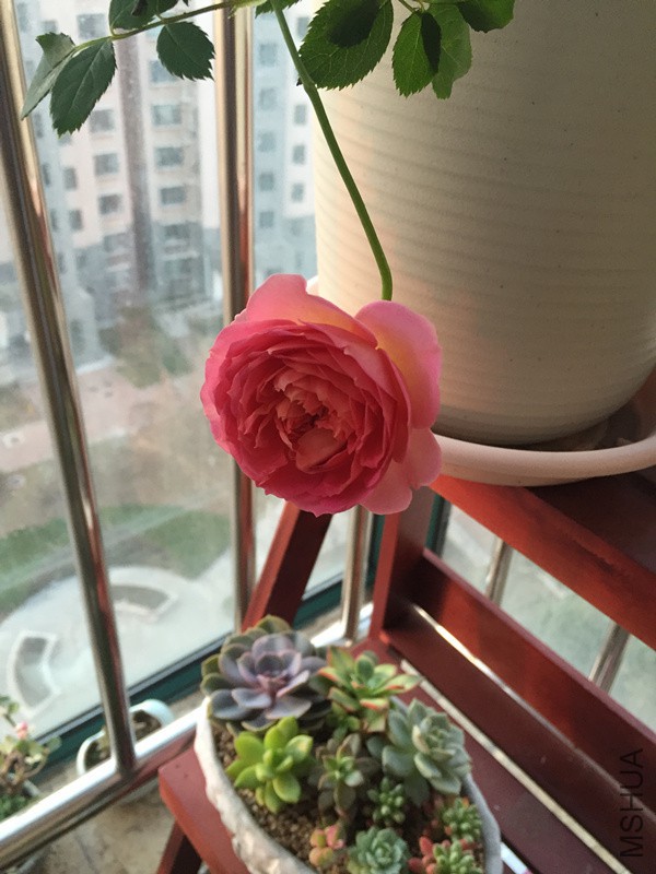 ������䡣��һ�ο���