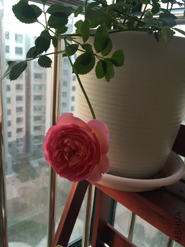 ��һ�ο���