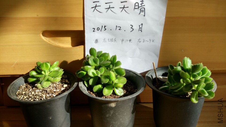QQͼƬ20151203133251.jpg