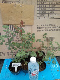 IMG20151204091618.jpg