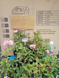 IMG20151204085928.jpg