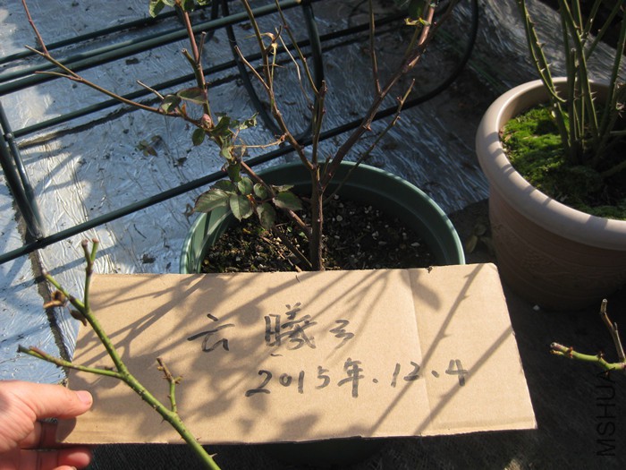 I�췽ҹ̷55Ԫ����.jpg