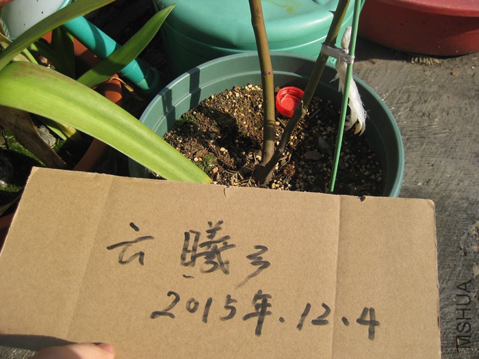 J޹�²ݻ���45Ԫ����.jpg