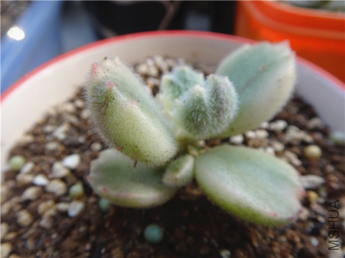 DSC08179_����.jpg