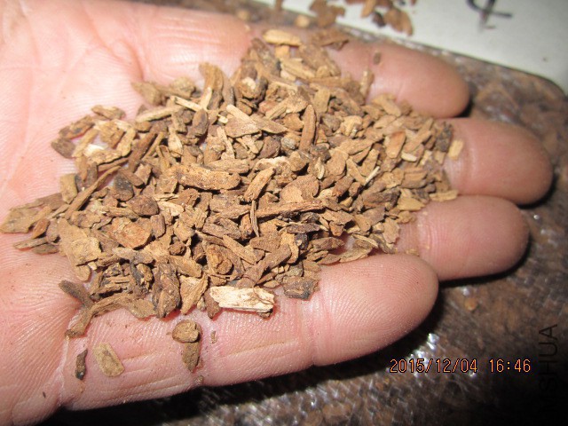 IMG_5051.JPG