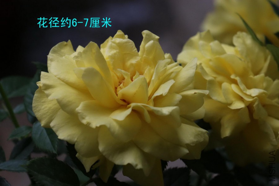 ��2��02.jpg