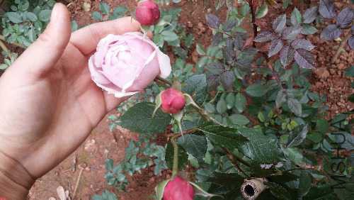 20151204_131737.jpg