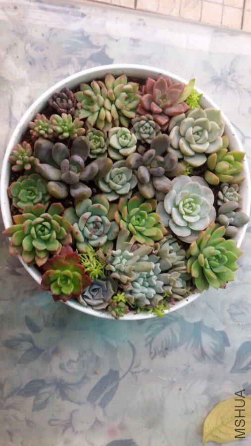 QQͼƬ20151205180512.jpg