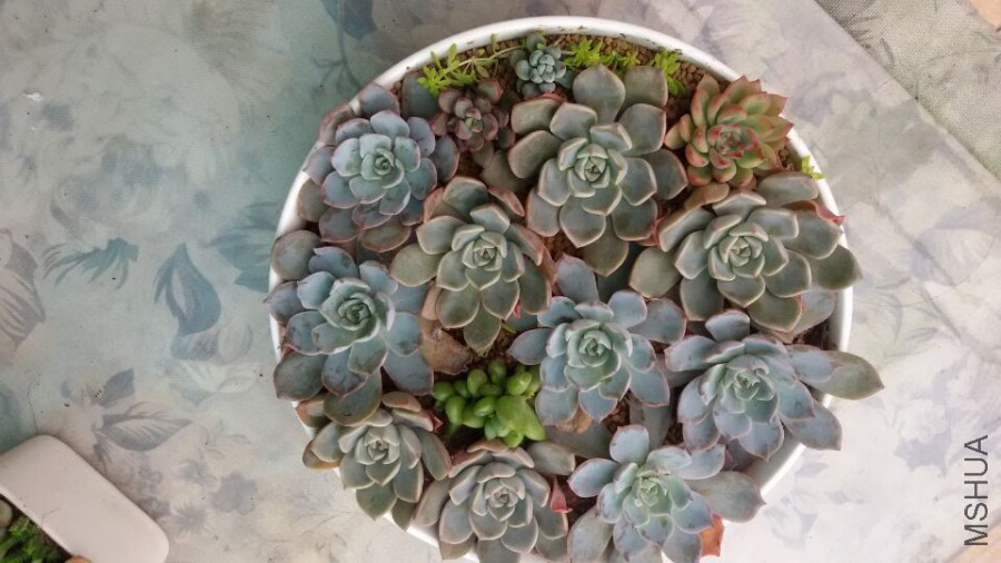 QQͼƬ20151205180516.jpg