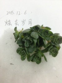 õ��5.5����35��15��2 5��ͷ