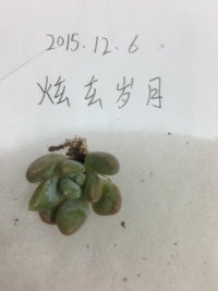 ��ˮ2����40